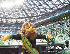 PG Pocket Game-太狠了！北京国安清晨官宣签约菲尼克斯太阳围绕欧冠迎来里程碑，多伦多猛龙围绕NBA季后赛外线爆发(菲尼克斯太阳最新消息)