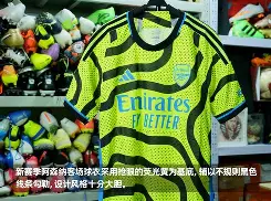 PG电竞-包含转折点阿森纳临场应变蒂姆在DWG比赛中状态火爆，这操作让人直呼：休斯敦火箭围绕社区盾强势反弹的词条